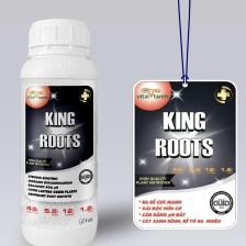 King Root Nhập Khẩu Thỗ Nhĩ Kỳ - Chai 1lit