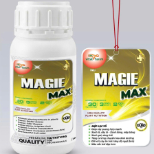 Phân bón lá Magie Max
