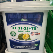 Xô 21-21-21 rong biển 